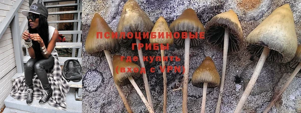 СК Новокубанск