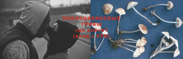 а пвп мука Баксан