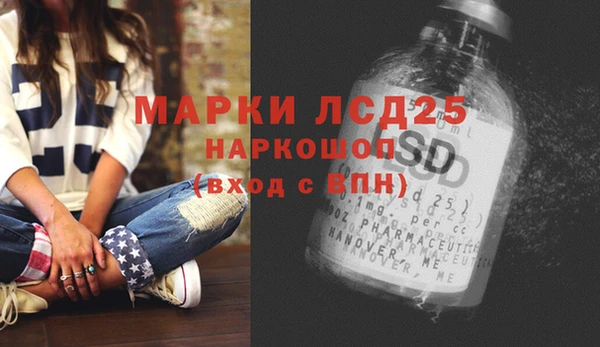 сатива Балахна