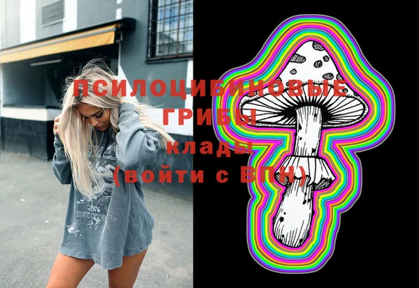 сатива Балахна